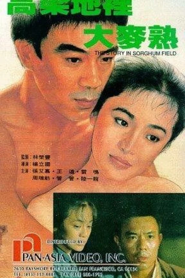 Gao liang di li da mai shou Poster