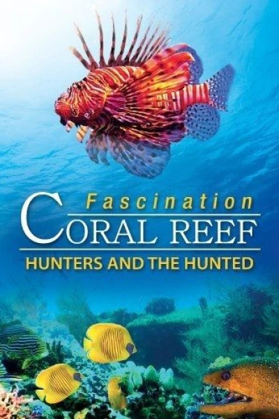 Fascination Coral Reef 3D: Hunters the Hunted