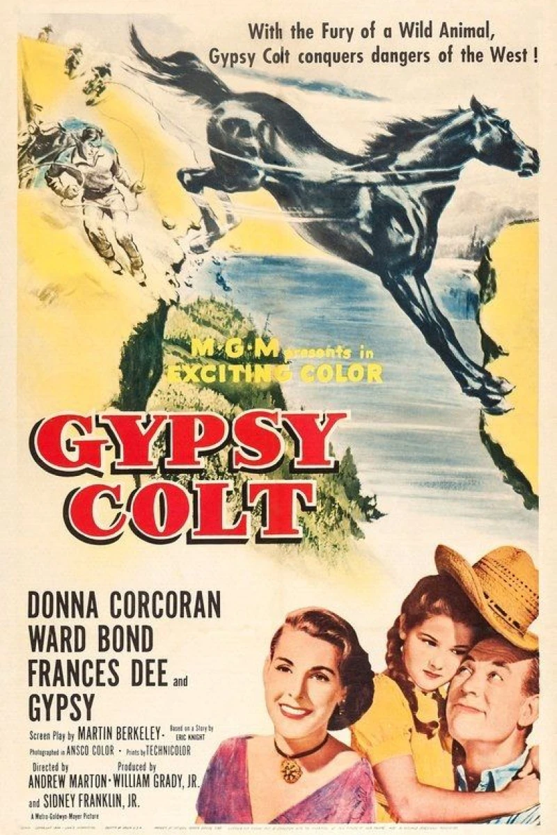 Gypsy Colt Poster