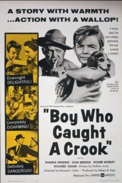 The Boy Who Caught a Crook