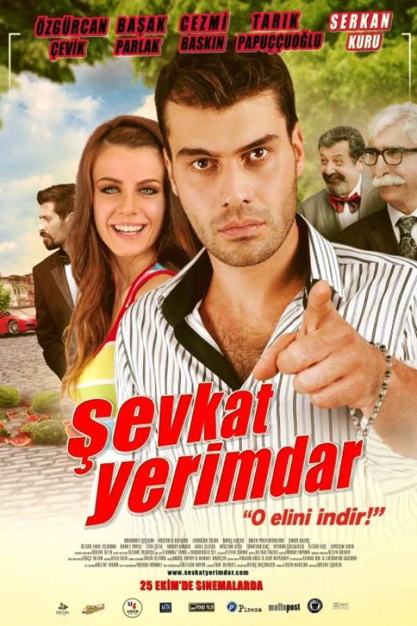 Sevkat Yerimdar Poster