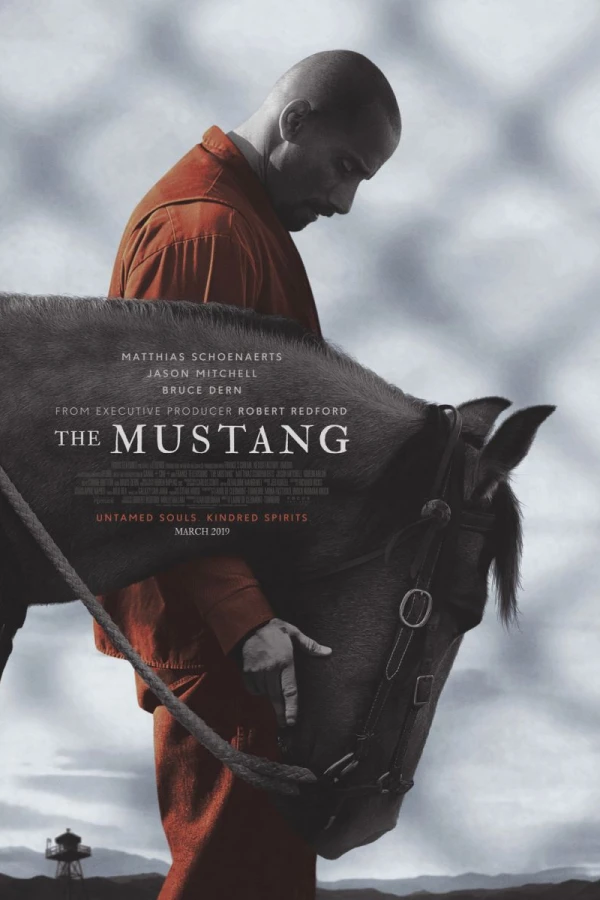 The Mustang Poster