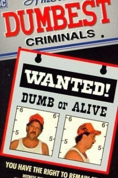 America's Dumbest Criminals