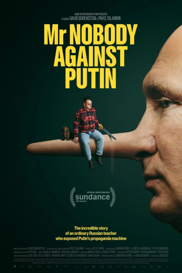 Mr. Nobody Against Putin Poster