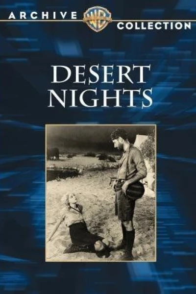 Desert Nights