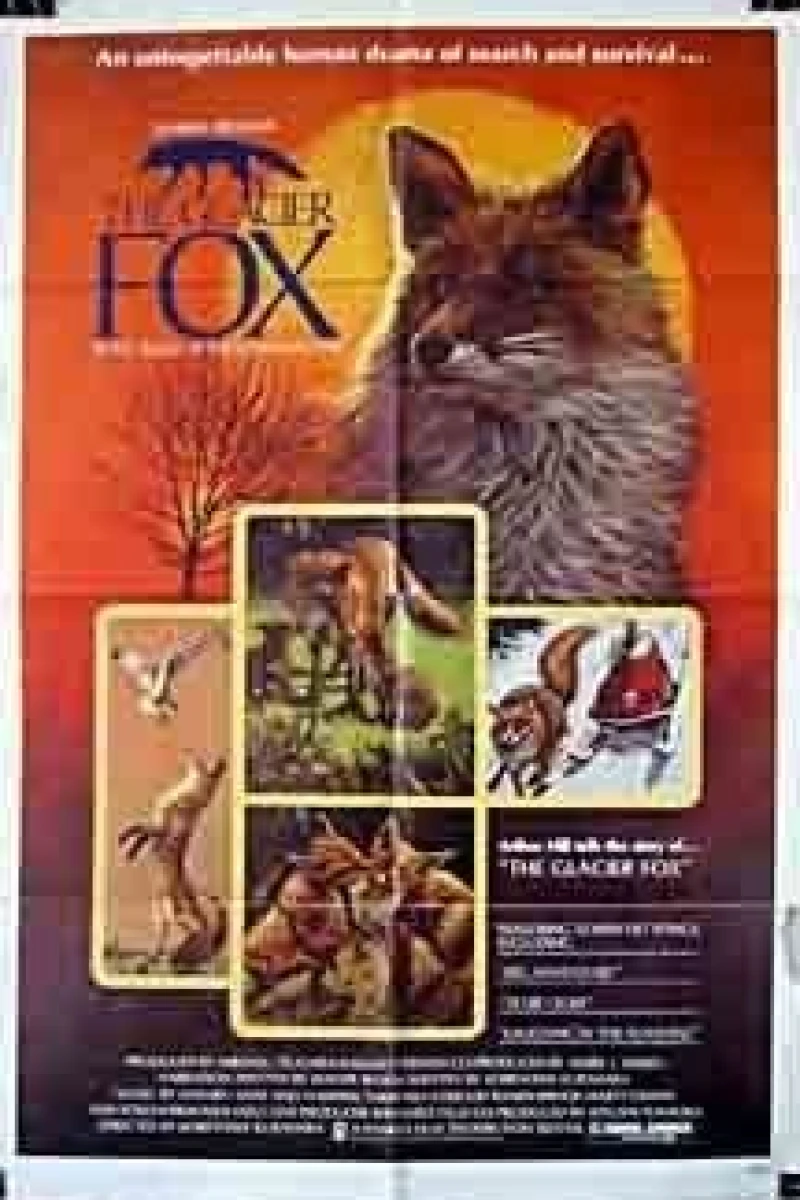 The Glacier Fox Poster
