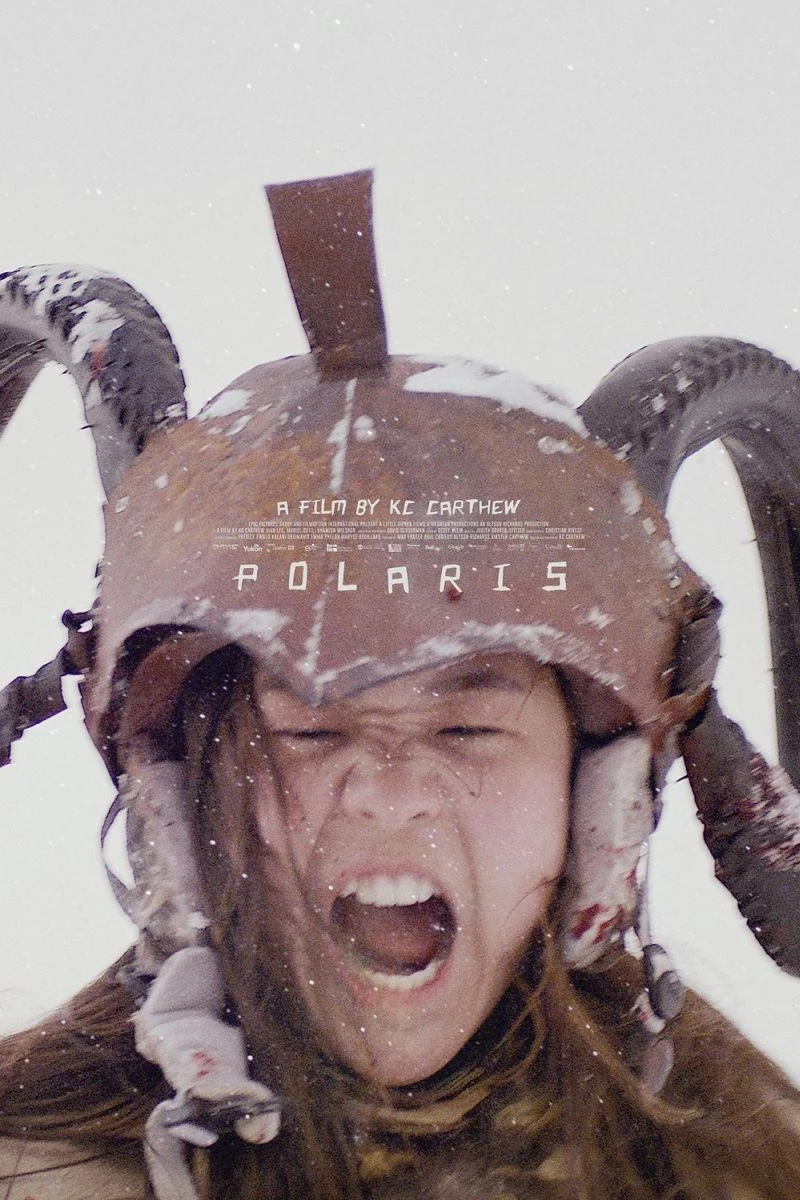 Polaris Poster