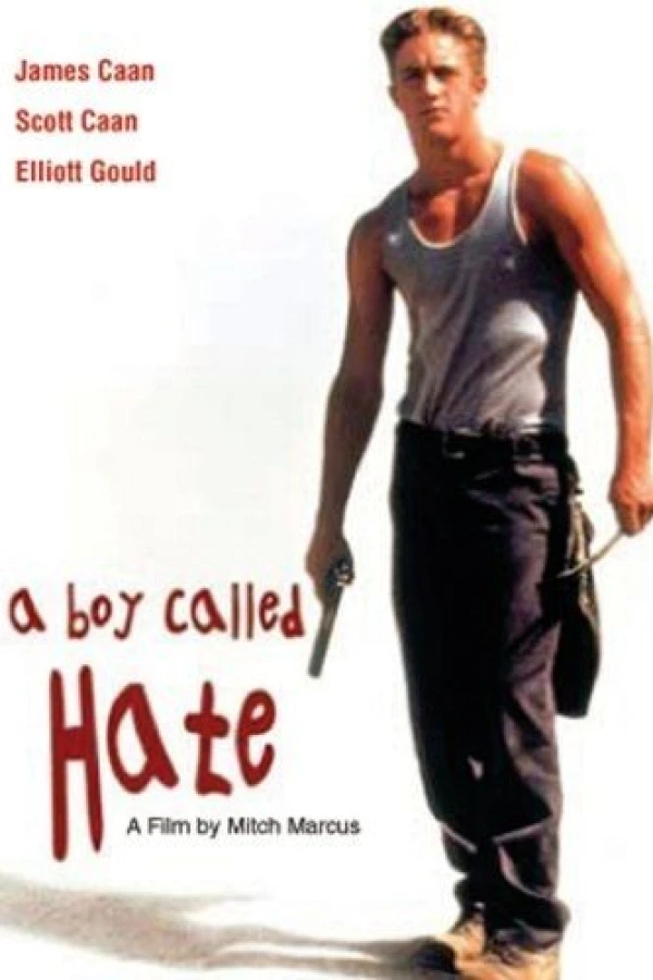 A Boy Called Hate Poster