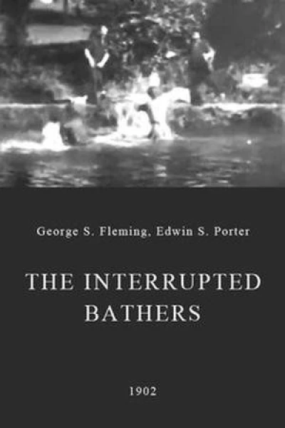 Interrupted Bathers