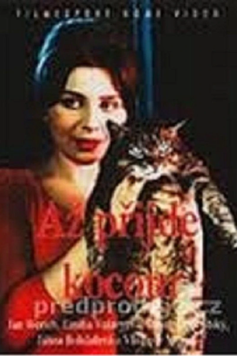 The Cassandra Cat Poster