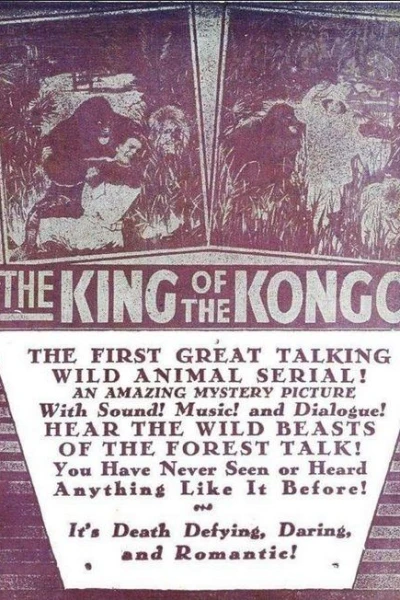 The King of the Kongo