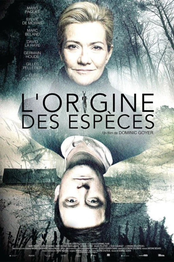 L'Origine des espèces Poster