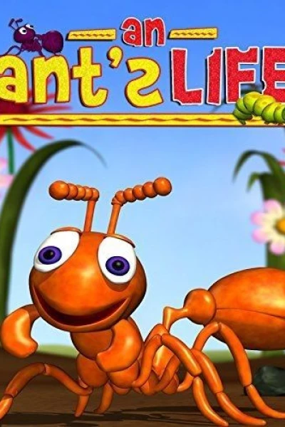 An Ant's Life
