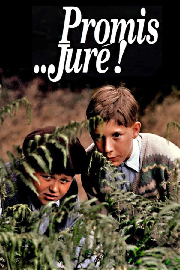 Promis... juré! Poster