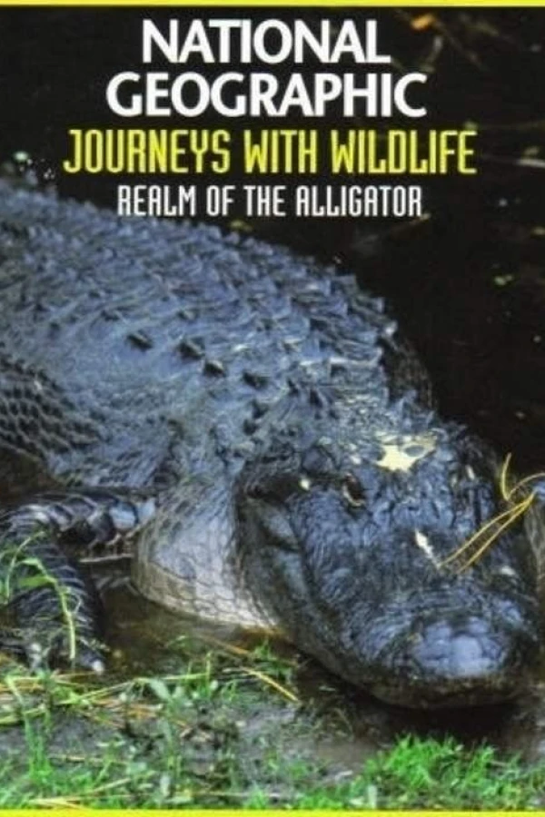 Realm of the Alligator Poster