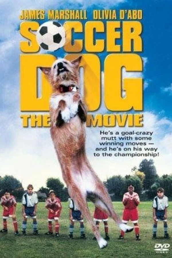 Soccer Dog Poster