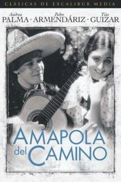 Amapola del camino