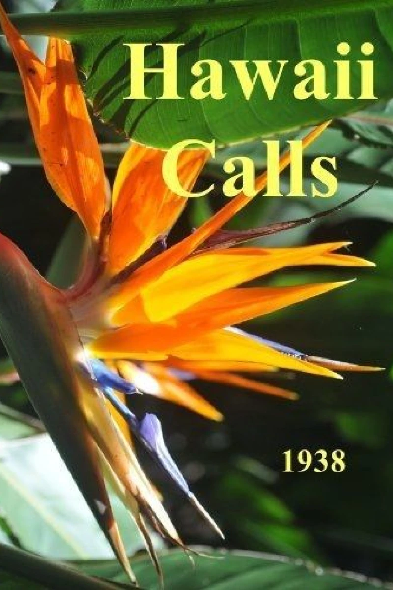 Hawaii Calls Poster