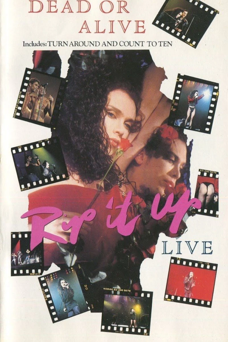 Dead or Alive: Rip It Up Live Poster