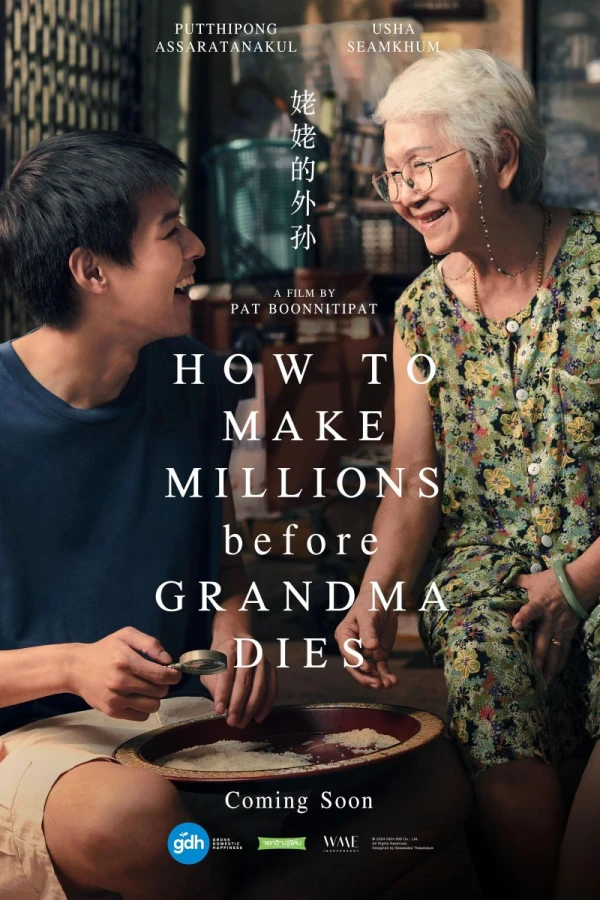 How to Make Millions Before Grandma Dies Poster