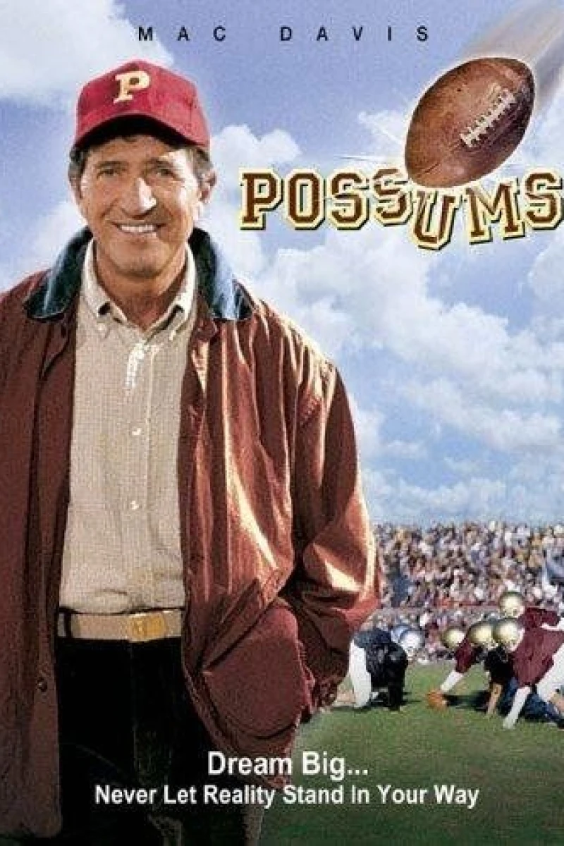 Possums Poster