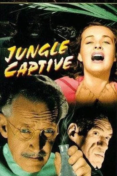 Wild Jungle Captive