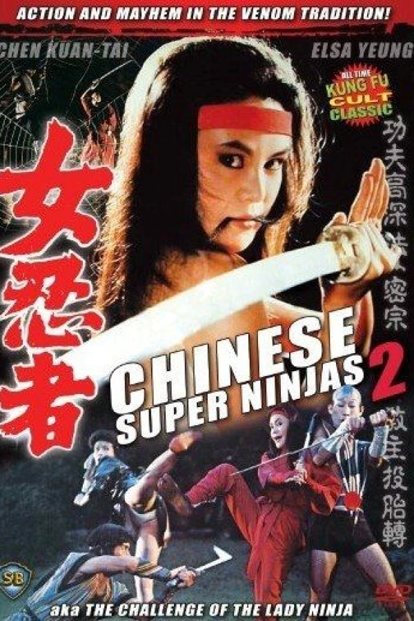 Chinese Super Ninjas 2 Poster