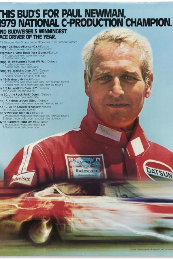 The Racing Experience Poster